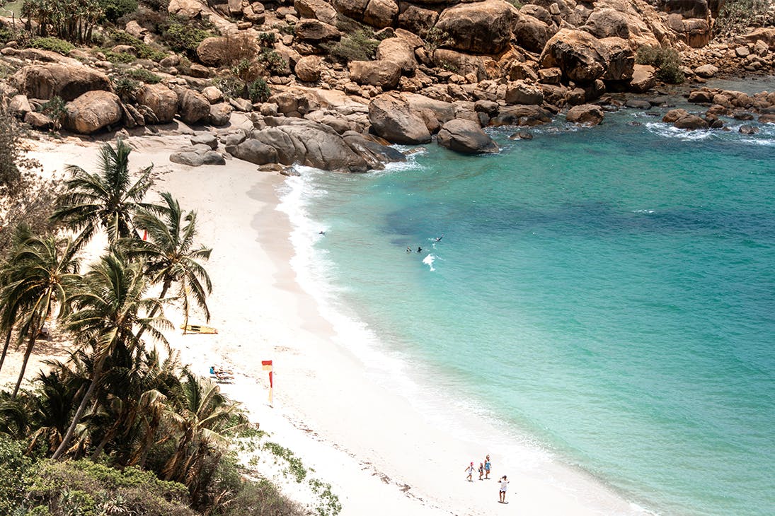 white sand and palm trees line the beach of Horseshoe Bay